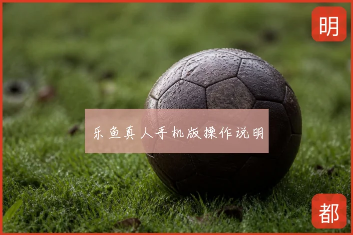 乐鱼真人手机版操作说明